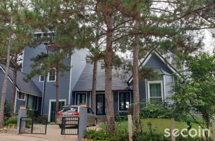 Ngói phẳng kiểu Pháp